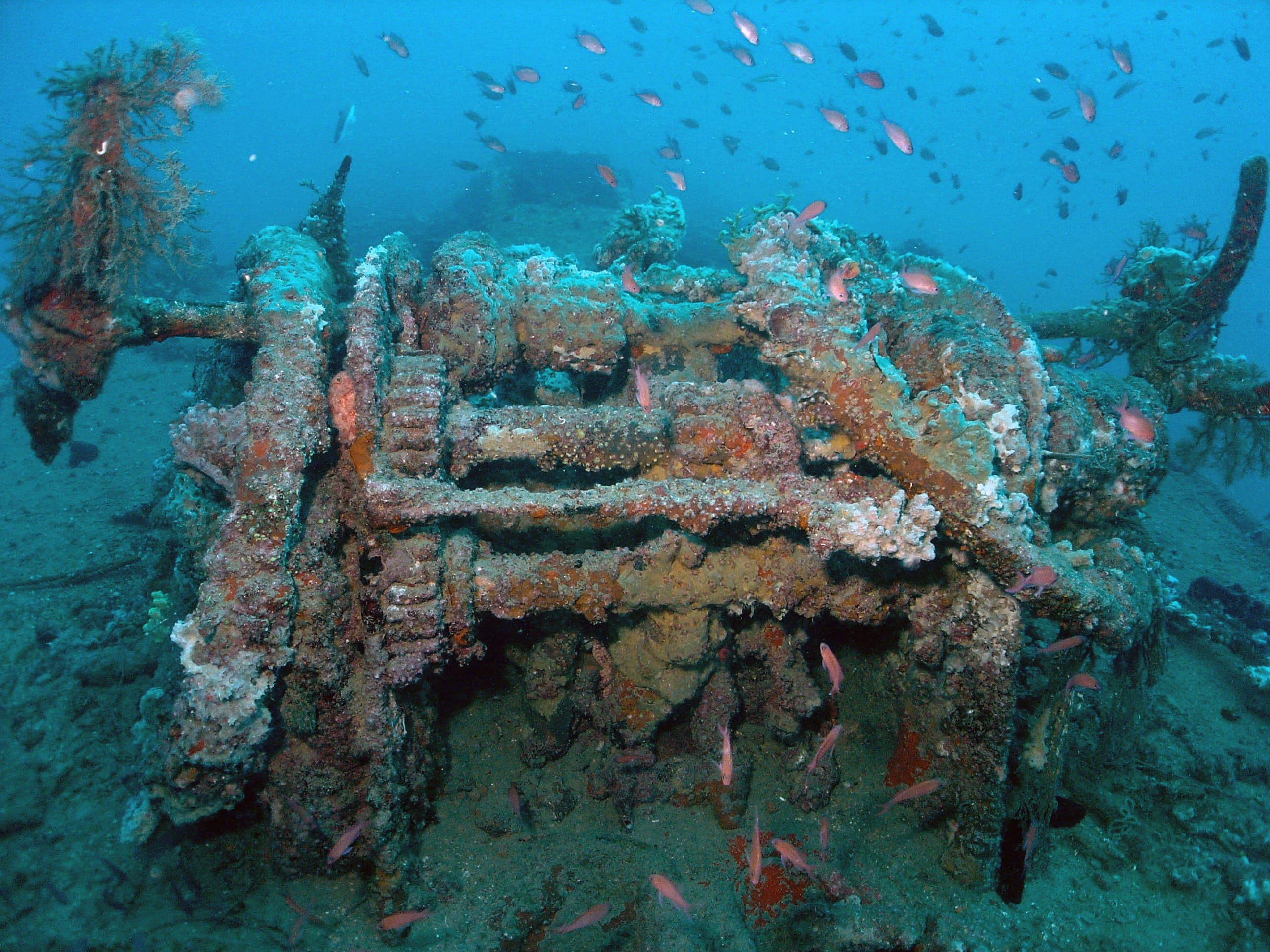 Cover image 2